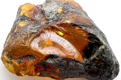Amber-1