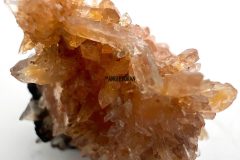 Creedite