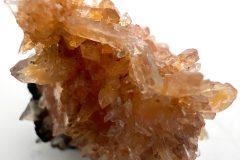 Creedite-1