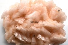 Dolomite