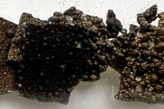 1_Manganese-1