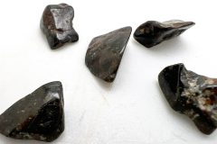 NWA-869-Meteorite-1