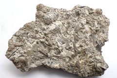 Mudstone, Wackestone, Packstone, Grainstone, Boundstone