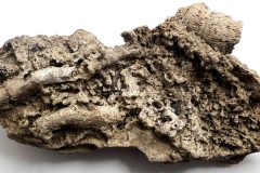 Packstone-1