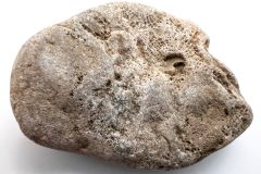 Petoskey Stone (Rear)
