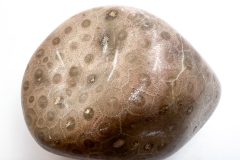 Pink Petoskey Stone (Front)