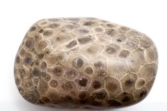 Pink Petoskey Stone (Front)