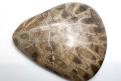 Blue Petoskey Stone (Front)