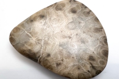 Blue Petoskey Stone (Rear)