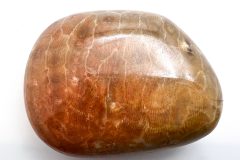 Red Petoskey Stone (Front)