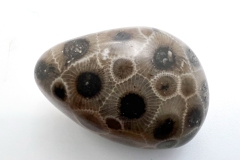 Medium Brown with Black Petoskey Stone (Front)