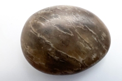 Medium, Brown Side View Petoskey Stone (Front)