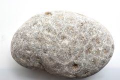 Petoskey Stone (Rear)