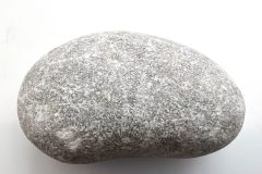 Unpolished Light Gray Petoskey Stone (Front)