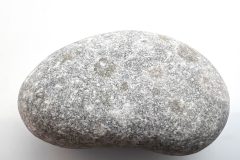 Petoskey Stone (Rear)
