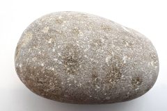 Unpolished Brown Petoskey Stone (Front)