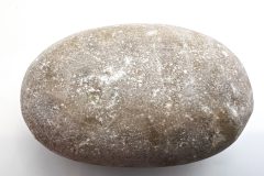 Petoskey Stone (Rear)