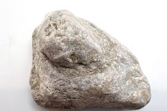 Petoskey Stone (Rear)