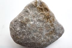 Unpolished Medium Gary Petoskey Stone (Front)