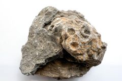 Petoskey Stone (Rear)