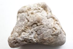 Petoskey Stone (Rear)