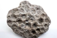 Very Rough Gray Petoskey Stone (Front)