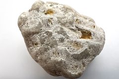 Petoskey Stone (Rear)