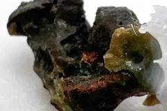 Tenorite