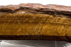Tigers-Eye-2