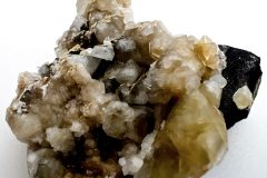 Wardite-1