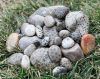 Petoskey Stones