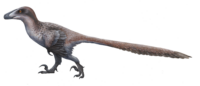 Deinonychus_ewilloughby