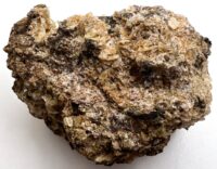 Whewellite and Siderite