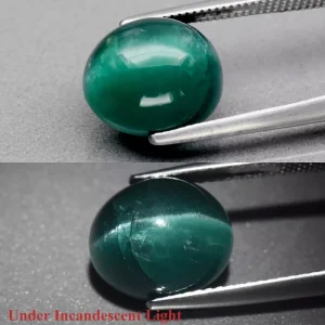 Apatite, Green Cat Eye 002